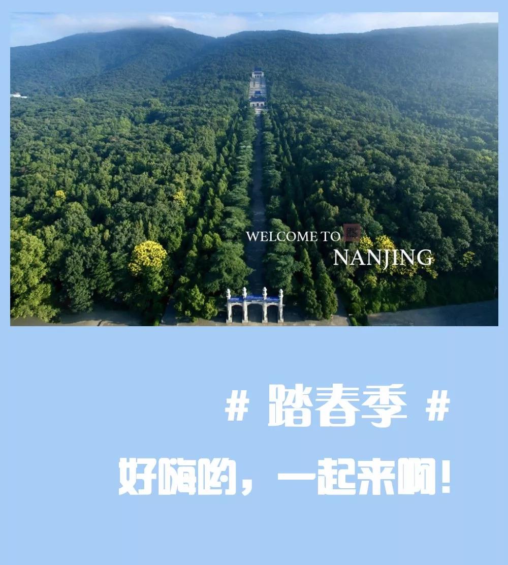 安排上了，南京新華邀你共赴免費(fèi)體驗(yàn)營