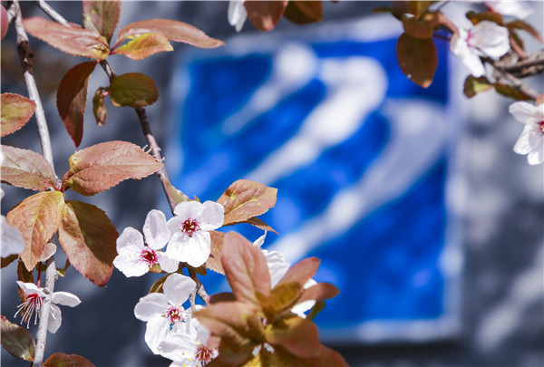 春暖花開，等你歸來——邀你云賞南新春景，以慰思念