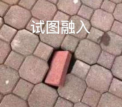 新華互聯(lián)網(wǎng)科技正式入駐Bilibili！會摩擦出什么樣火花呢？